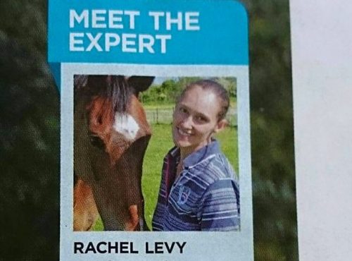 Your Horse Magazine
